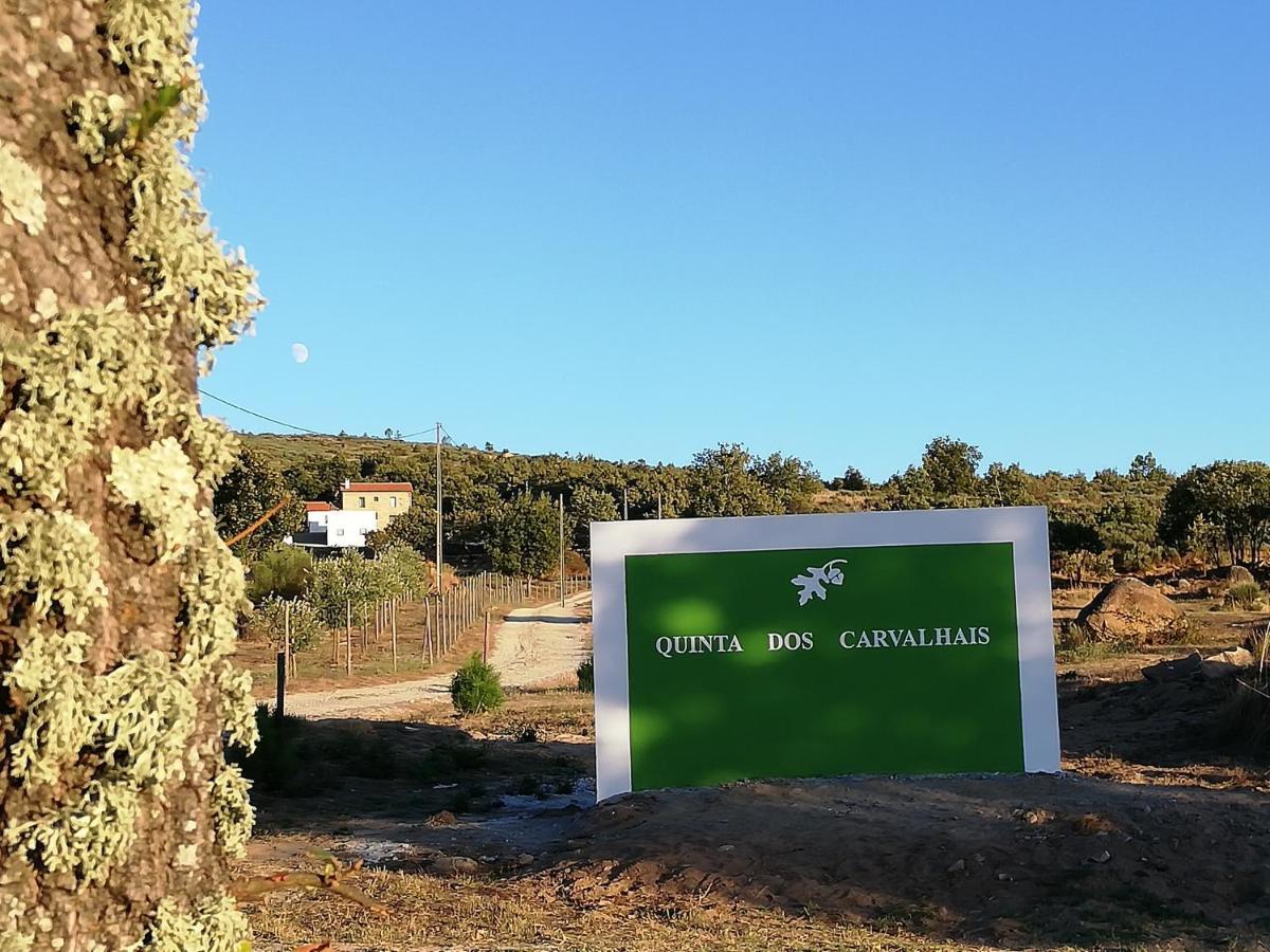 Quinta Dos Carvalhais - Serra Da Estrela Fornos de Algodres Bagian luar foto