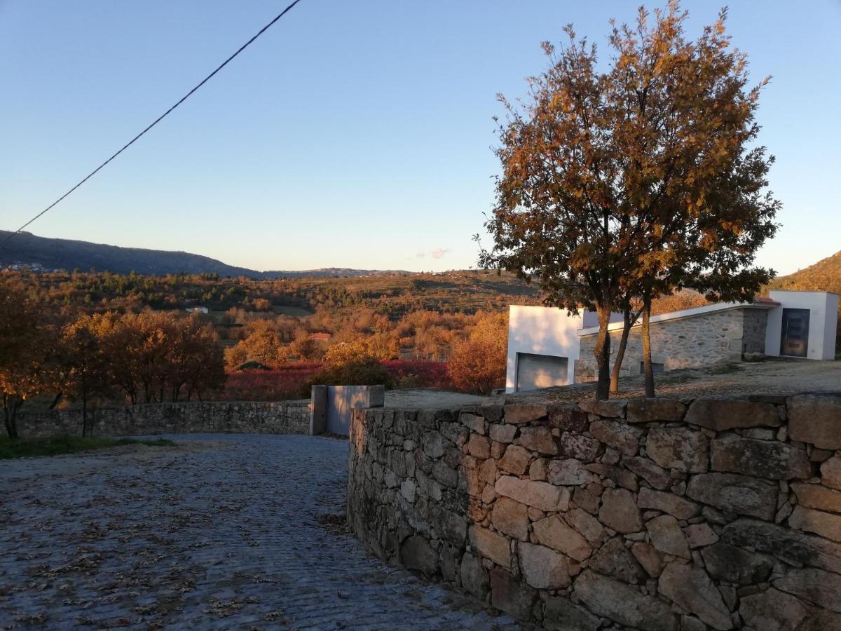 Quinta Dos Carvalhais - Serra Da Estrela Fornos de Algodres Bagian luar foto