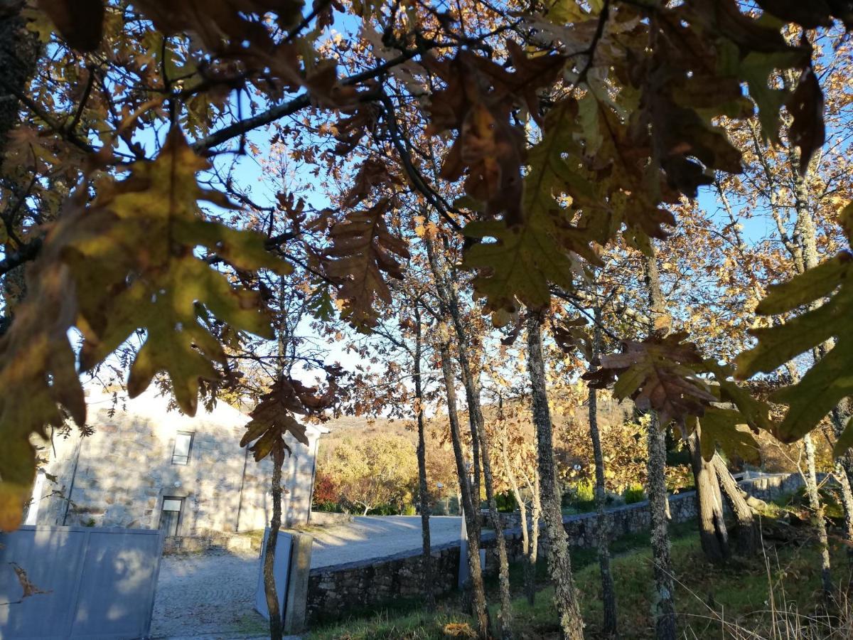 Quinta Dos Carvalhais - Serra Da Estrela Fornos de Algodres Bagian luar foto