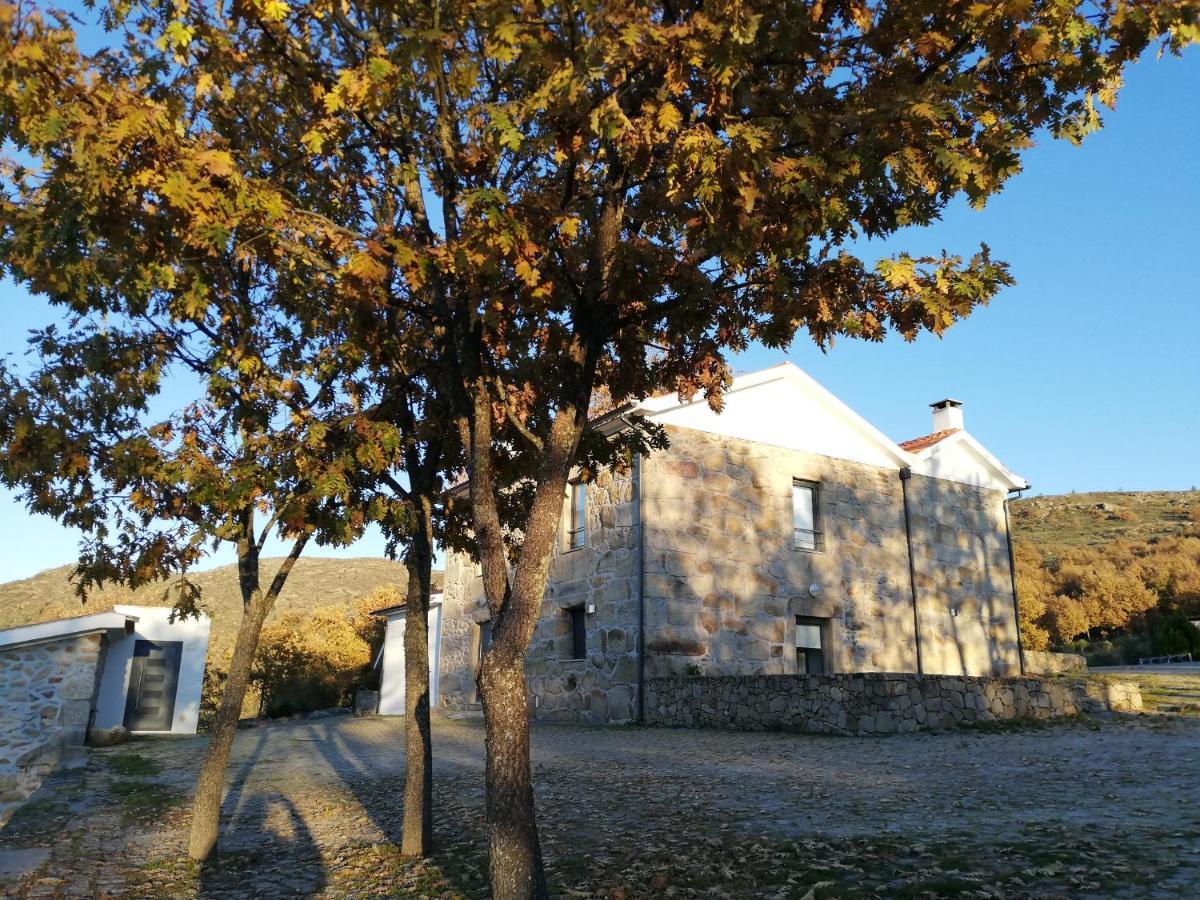 Quinta Dos Carvalhais - Serra Da Estrela Fornos de Algodres Bagian luar foto