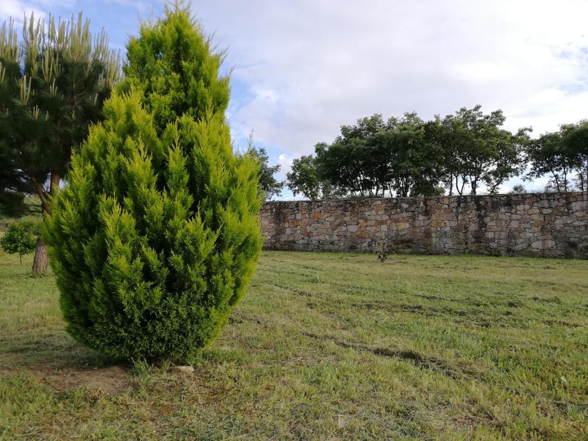 Quinta Dos Carvalhais - Serra Da Estrela Fornos de Algodres Bagian luar foto