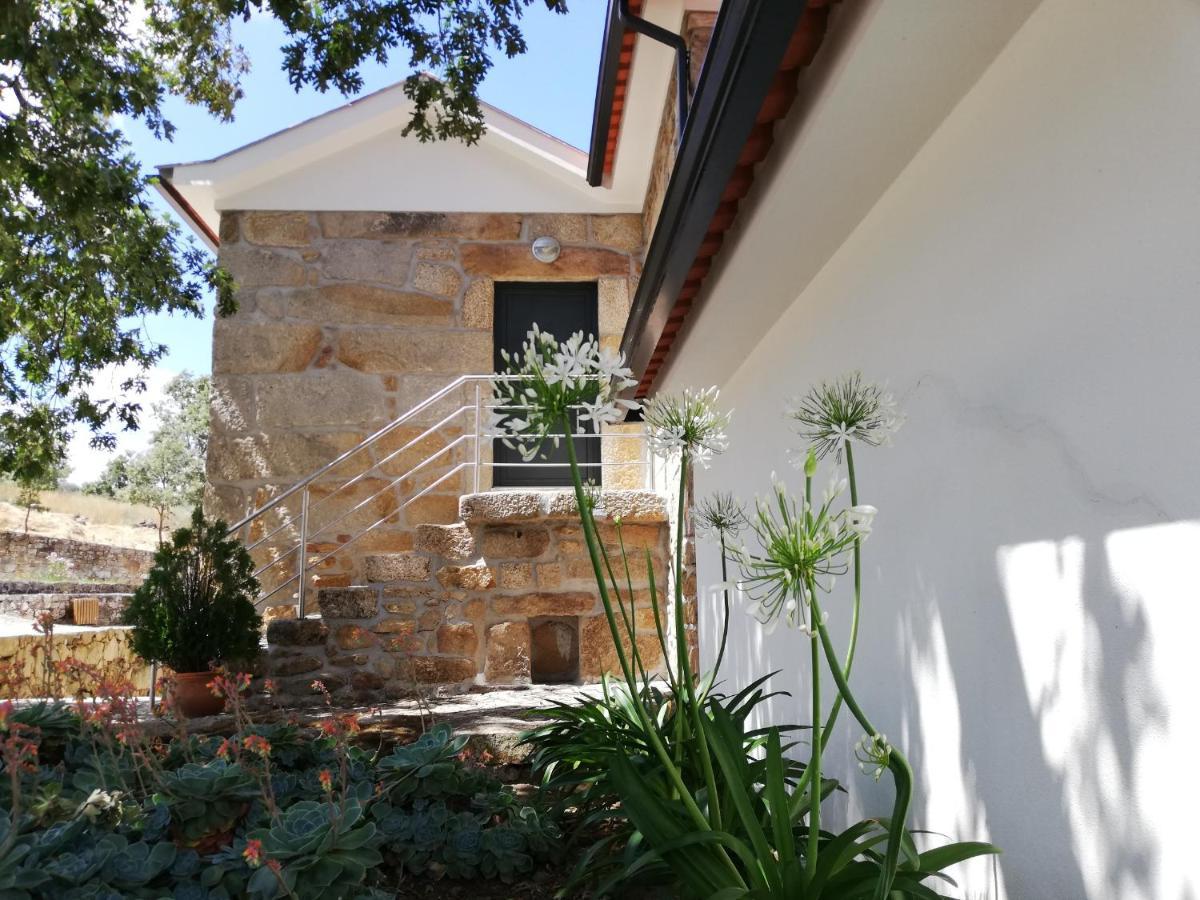 Quinta Dos Carvalhais - Serra Da Estrela Fornos de Algodres Bagian luar foto