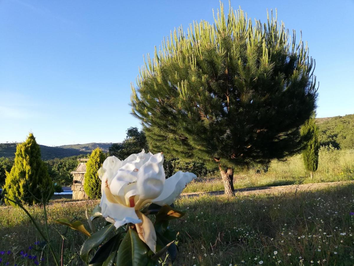 Quinta Dos Carvalhais - Serra Da Estrela Fornos de Algodres Bagian luar foto