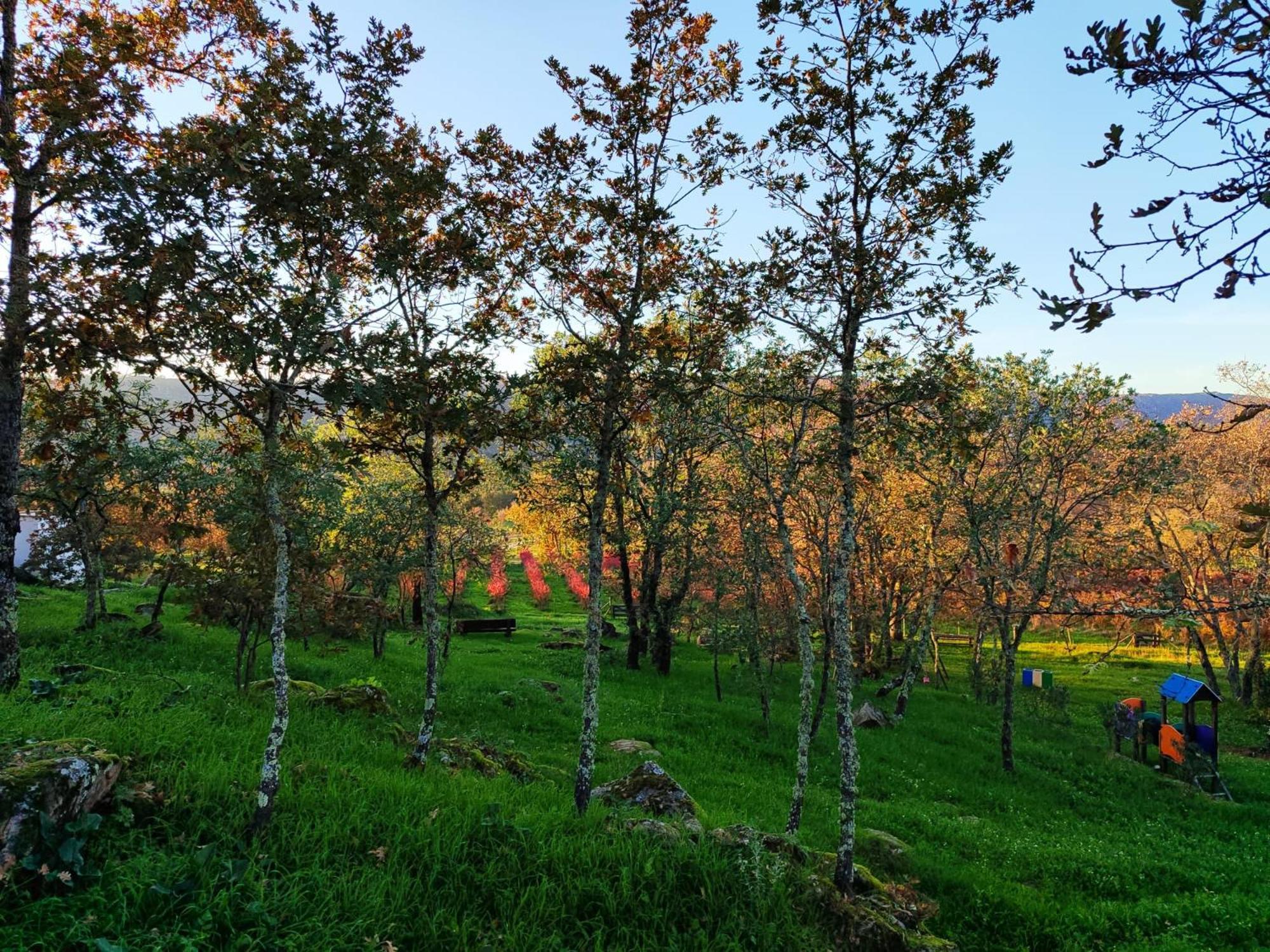 Quinta Dos Carvalhais - Serra Da Estrela Fornos de Algodres Bagian luar foto