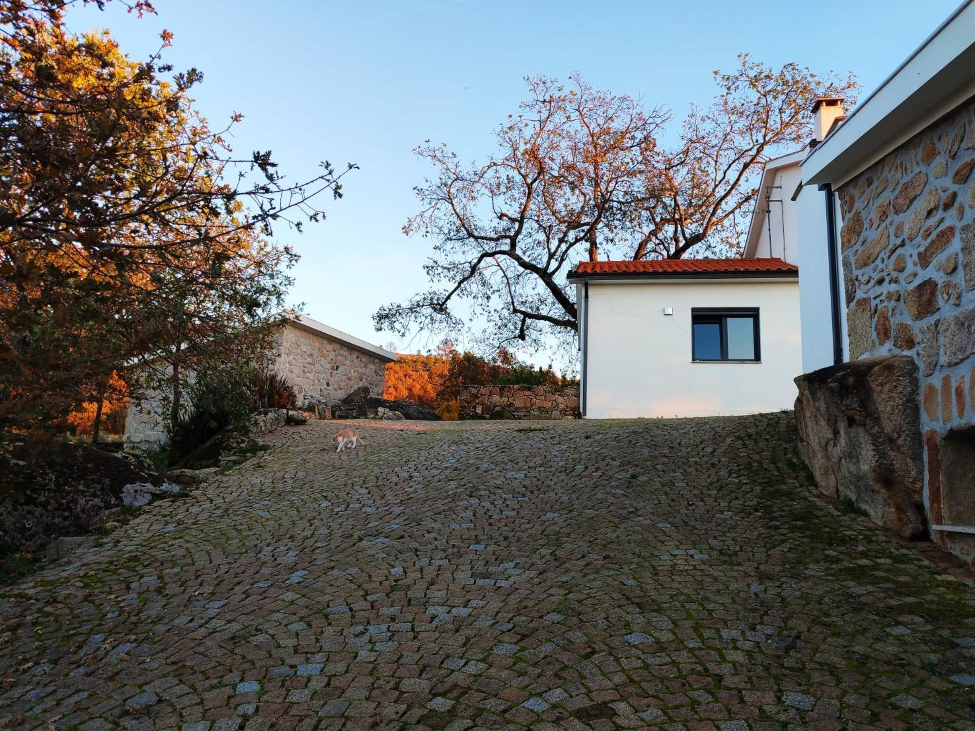 Quinta Dos Carvalhais - Serra Da Estrela Fornos de Algodres Bagian luar foto