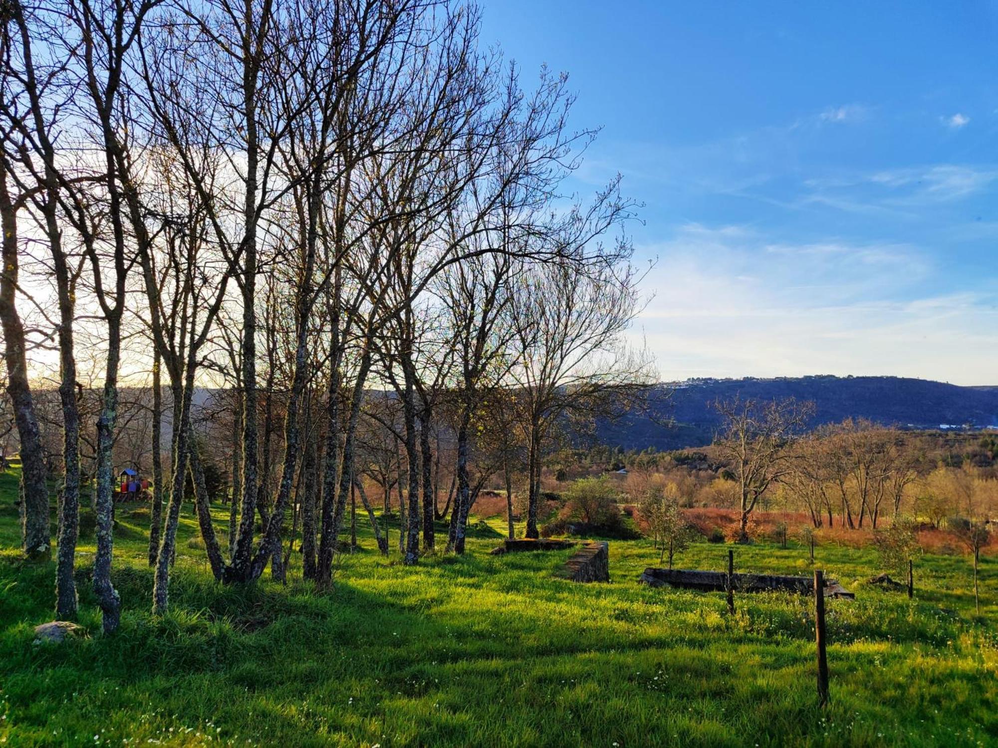 Quinta Dos Carvalhais - Serra Da Estrela Fornos de Algodres Bagian luar foto
