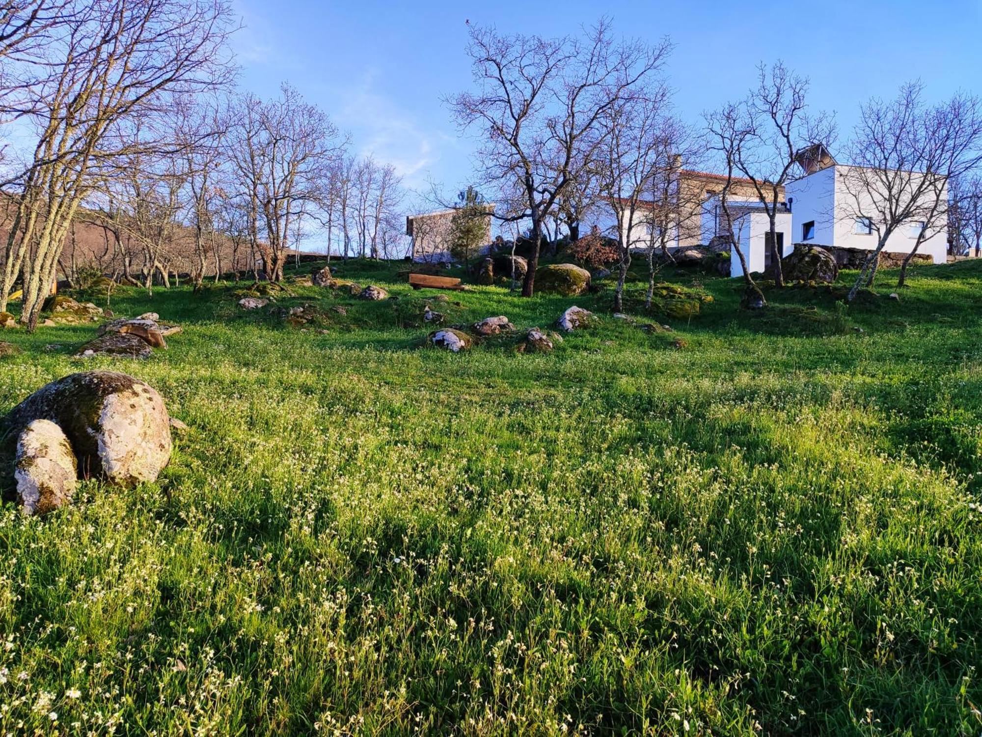Quinta Dos Carvalhais - Serra Da Estrela Fornos de Algodres Bagian luar foto