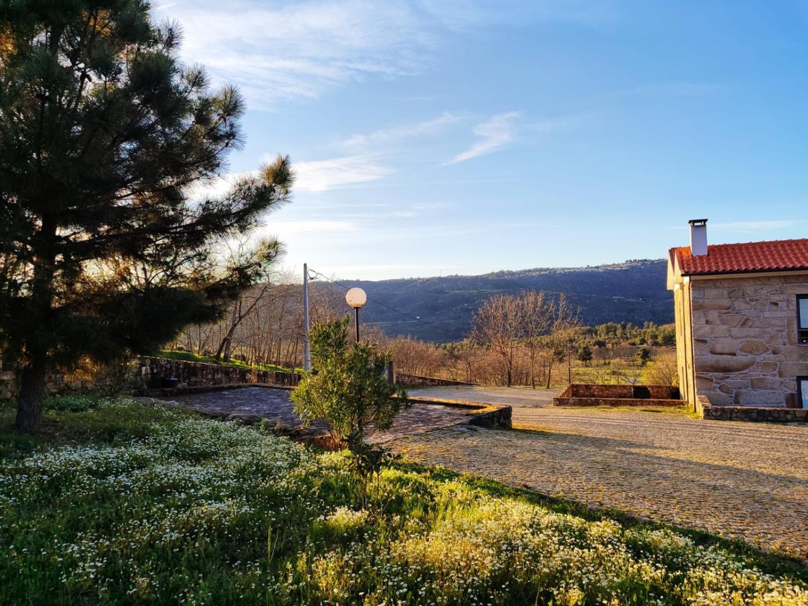 Quinta Dos Carvalhais - Serra Da Estrela Fornos de Algodres Bagian luar foto