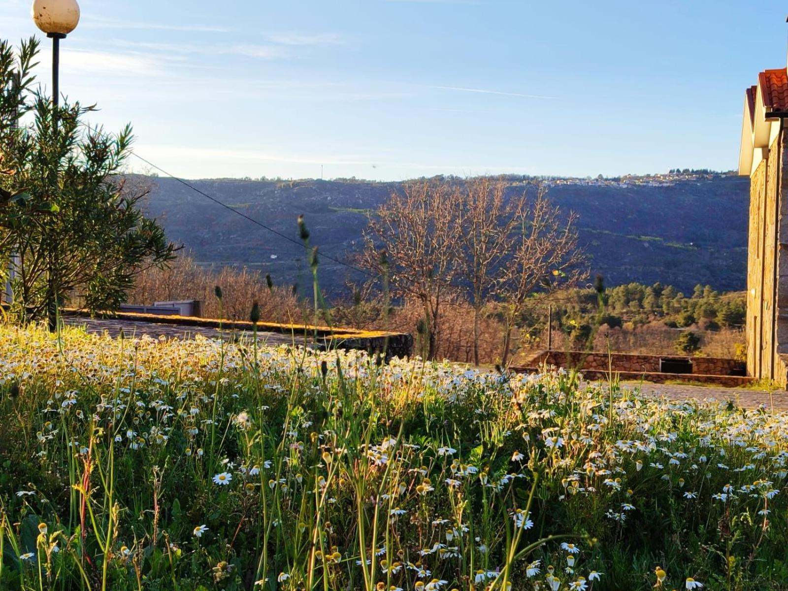 Quinta Dos Carvalhais - Serra Da Estrela Fornos de Algodres Bagian luar foto