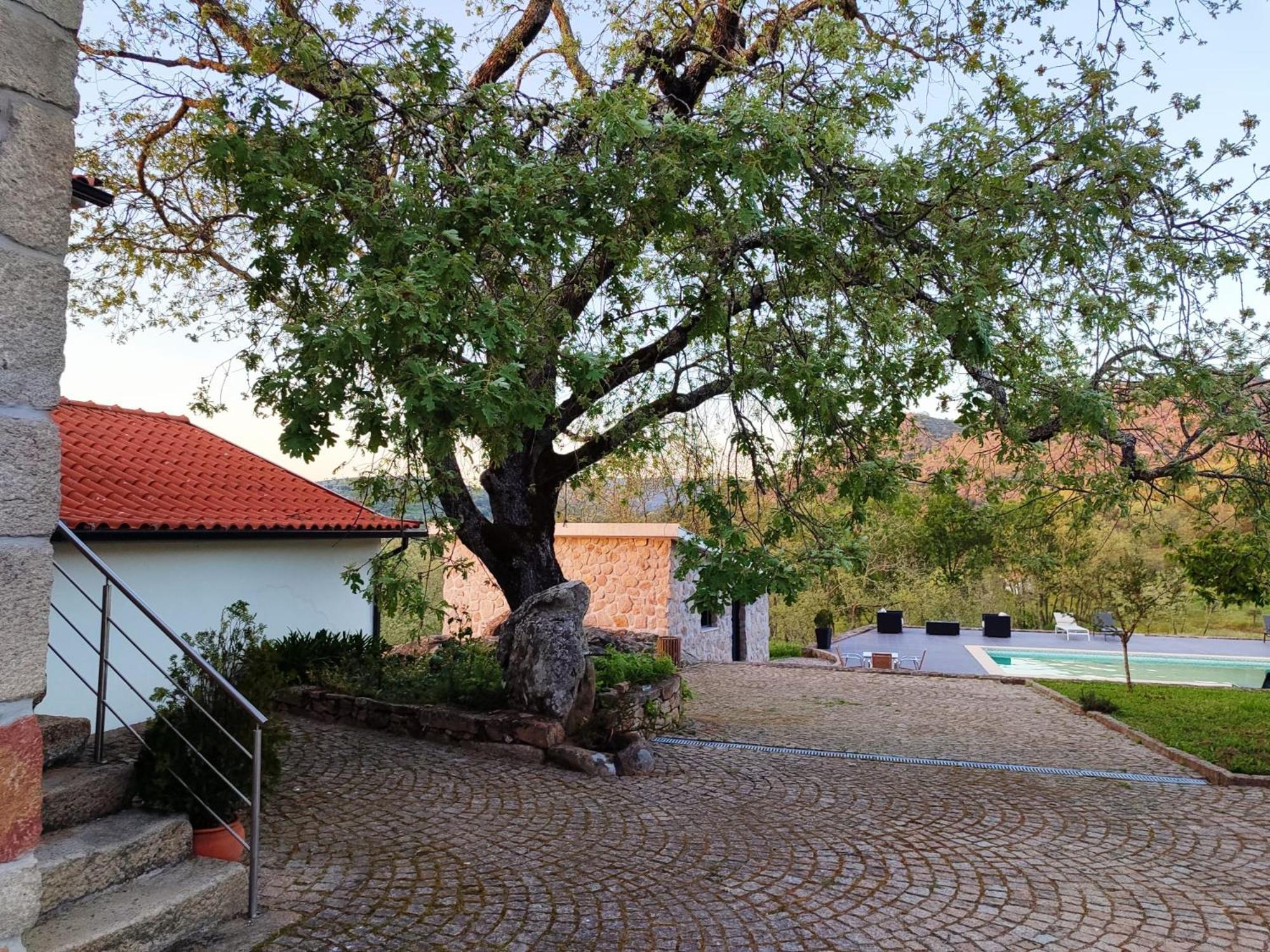 Quinta Dos Carvalhais - Serra Da Estrela Fornos de Algodres Bagian luar foto